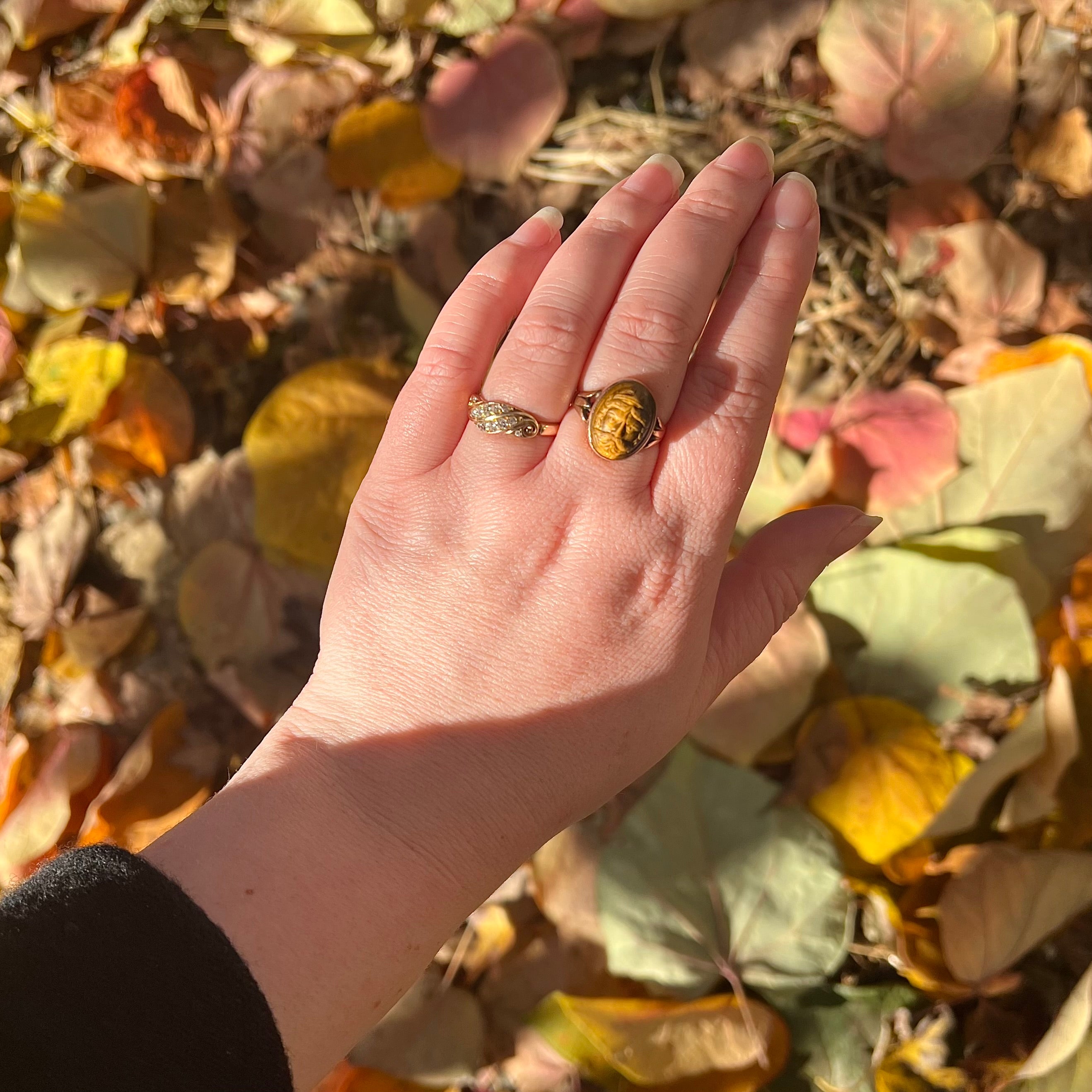 Antique Victorian Carved Zeus Tiger's Eye 10k Gold Ring