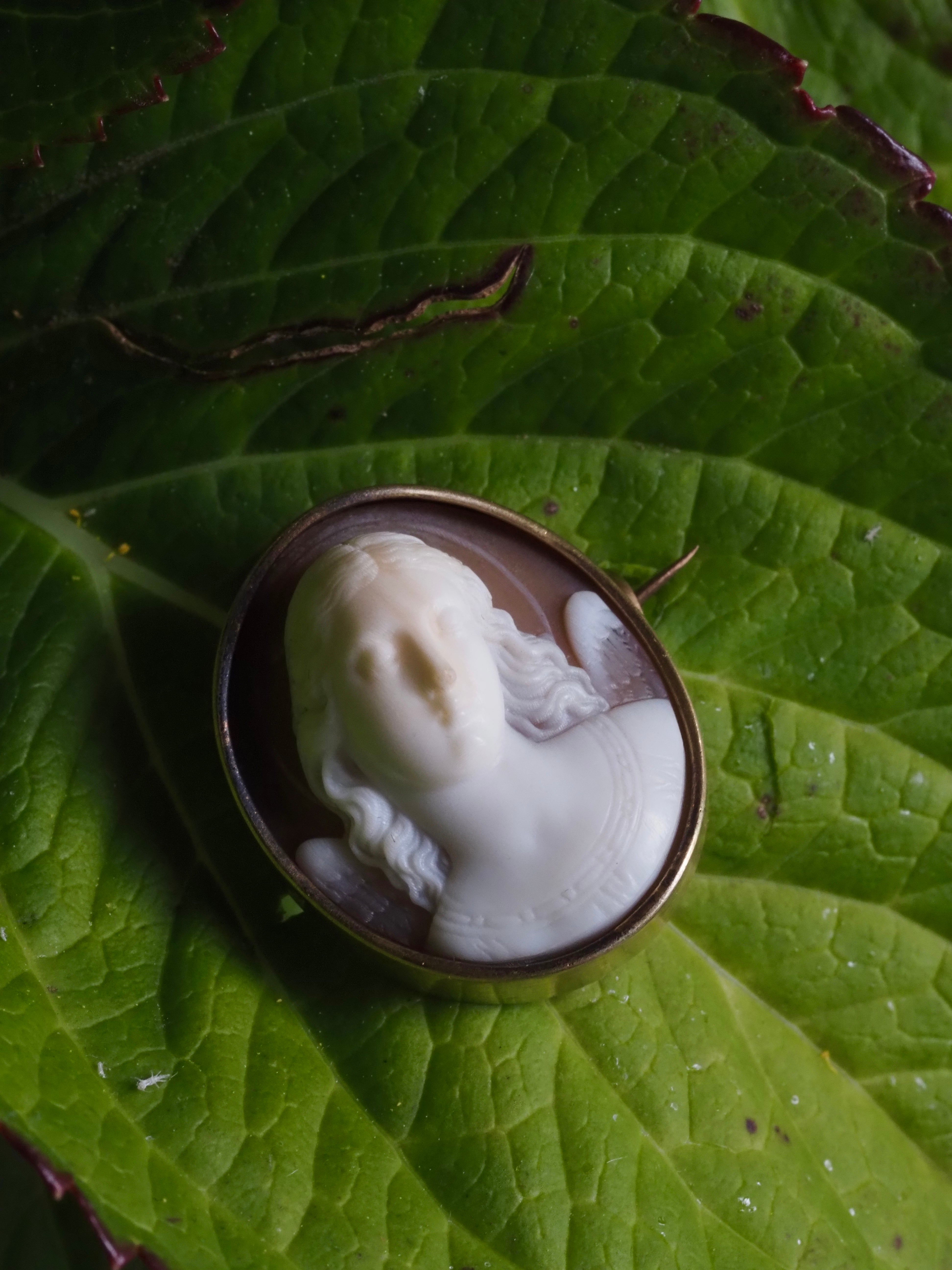 Antique 18k Gold Angel Shell Cameo Pin