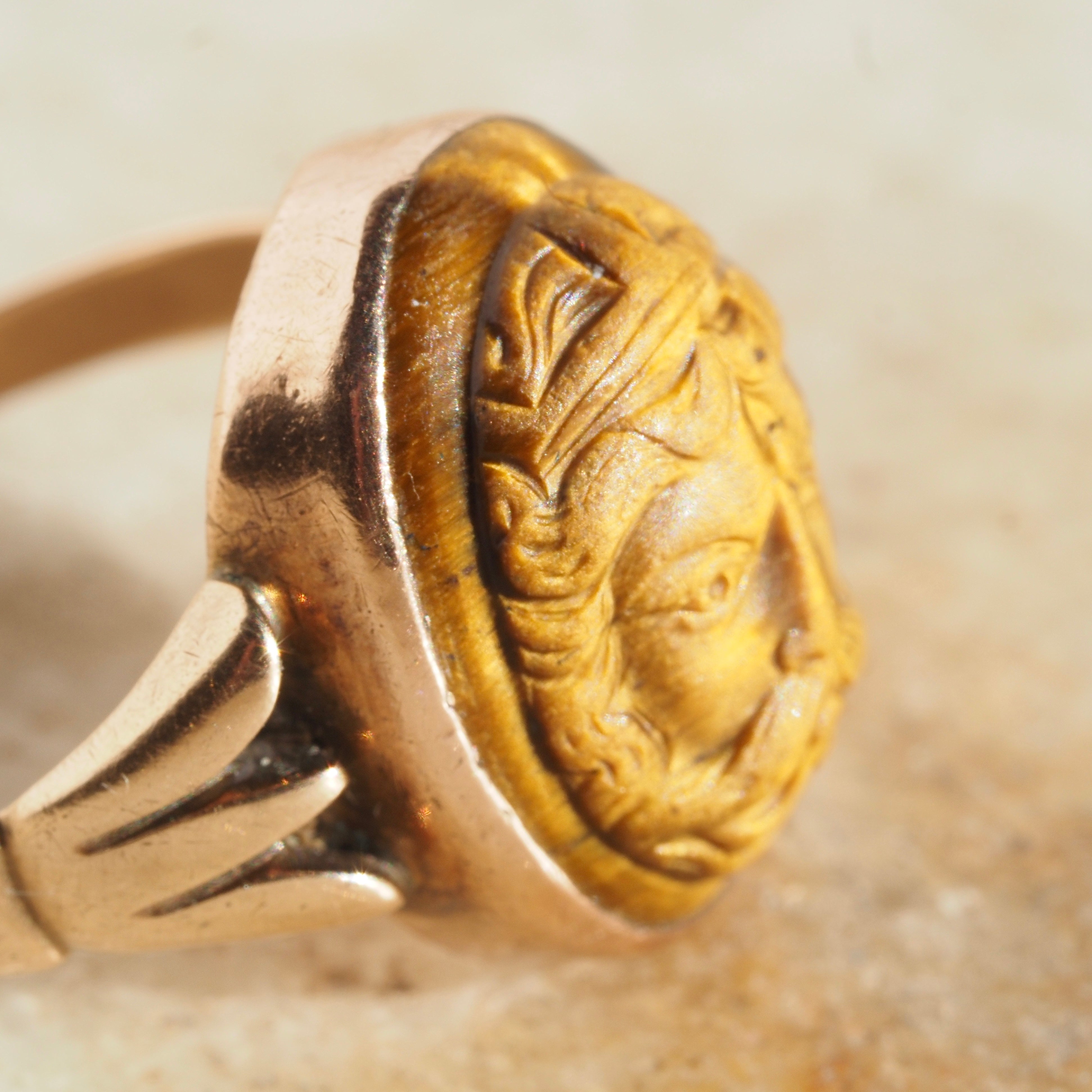 Antique Victorian Carved Zeus Tiger's Eye 10k Gold Ring