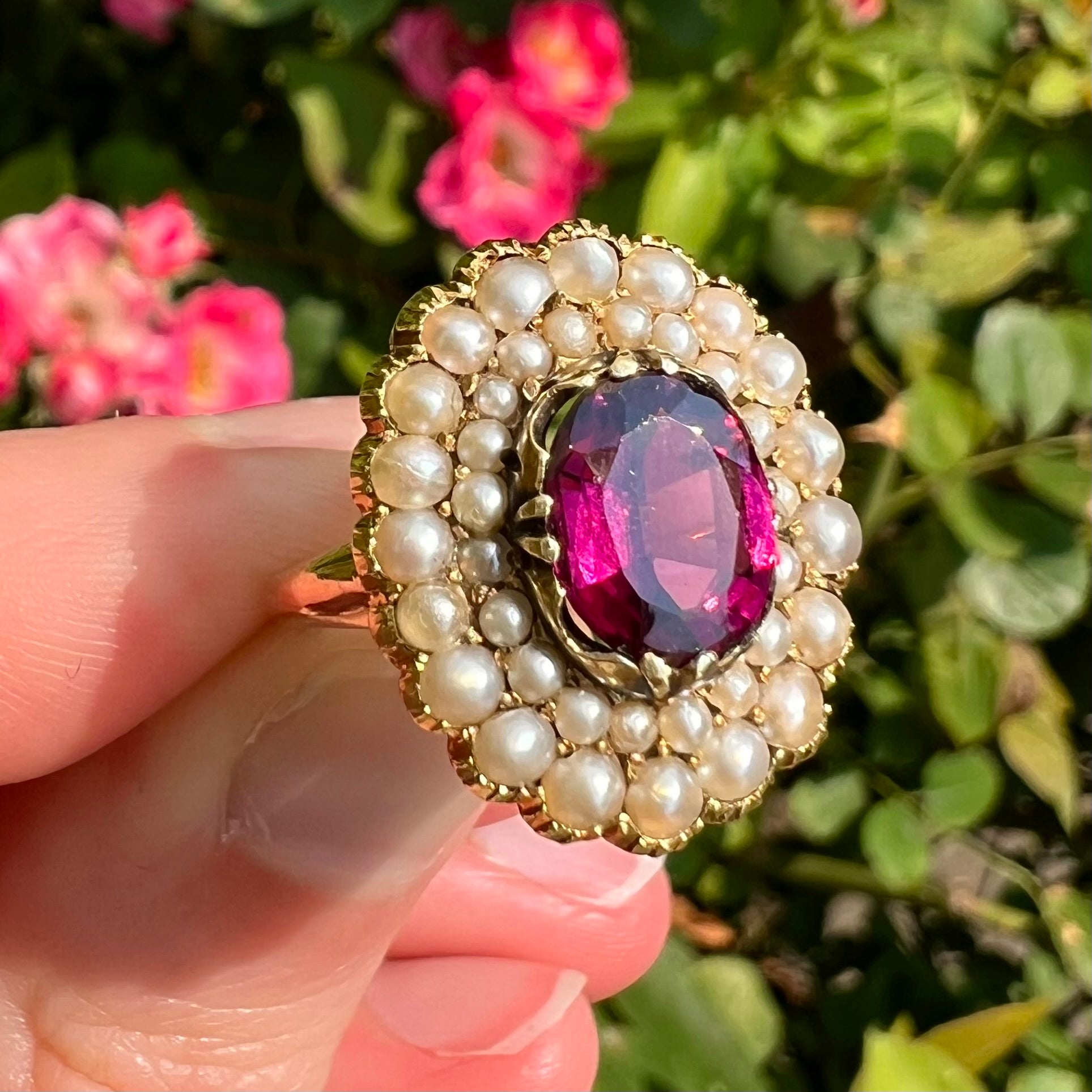 Antique English Late Georgian 14k Gold Rhodolite Garnet and Seed Pearl Double Halo Ring