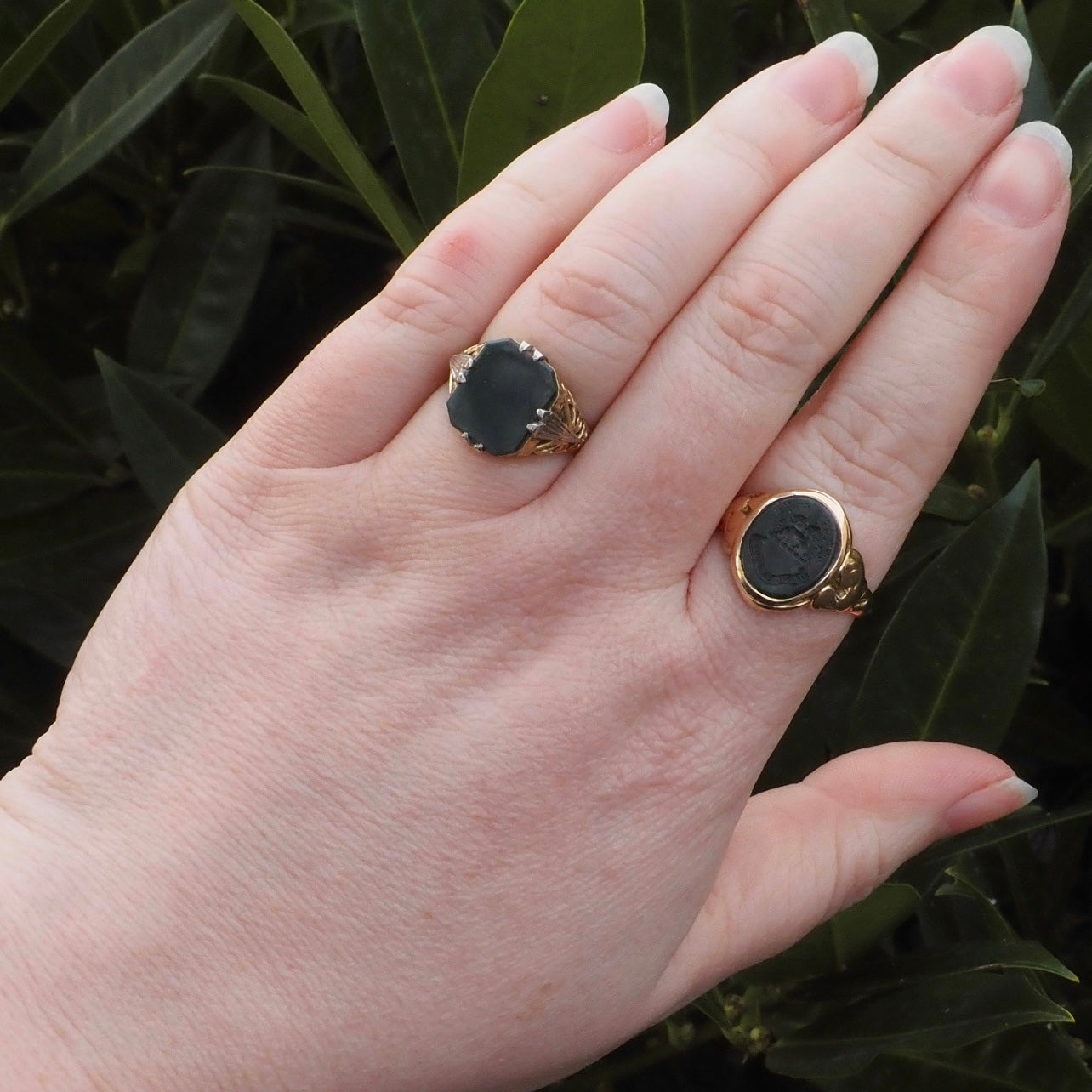 Antique Victorian Dis La Verite "Tell the Truth" Intaglio Bloodstone 9k Gold Signet Ring